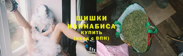 МДПВ Богородицк