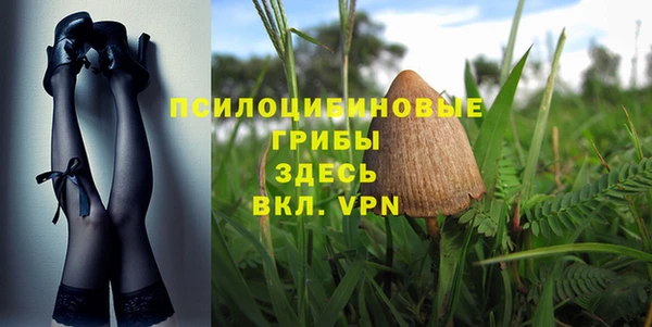 МДПВ Богородицк
